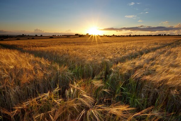 Photo of the sun among the fields