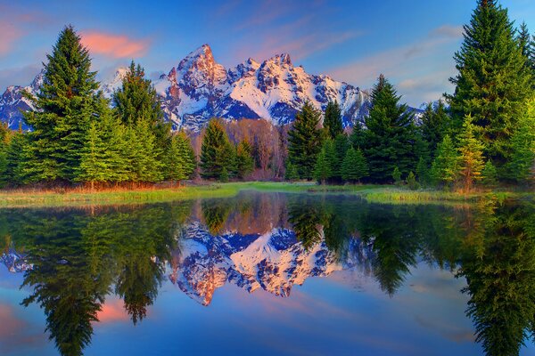 Reflejo de árboles y montañas en el agua