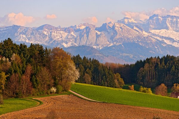 Los campos de Suiza en el fondo de las montañas