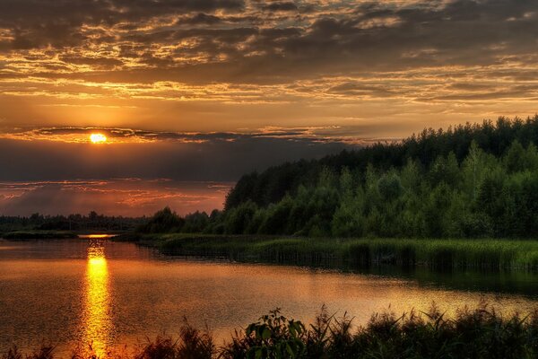 Sonnenuntergang im Sommerwald über dem Fluss