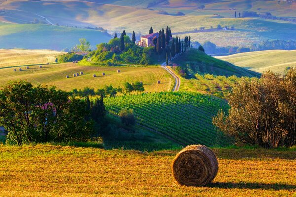 Пейзаж сельское утро в Италии