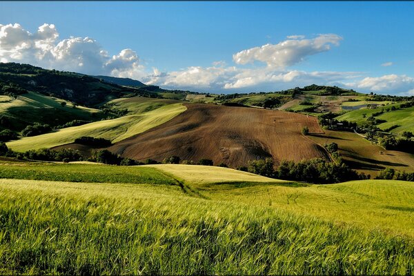 Green hills in the forests of Italy