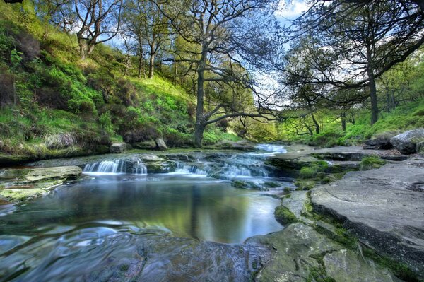 Paesaggio del Parco nazionale con fiume e alberi sulle pendici