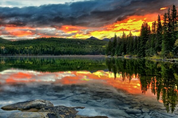 A small lake at sunset. Forest on the lake shore