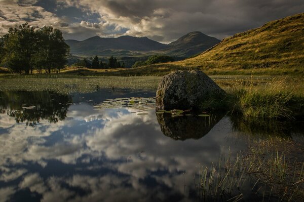 Natural reflection of clouds and grass in water