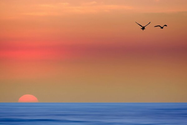 Das blaue Meer, die untergehende Sonne und zwei einsame Möwen