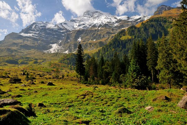 Cime delle montagne nella neve