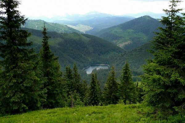 Great mountains with lake and forest