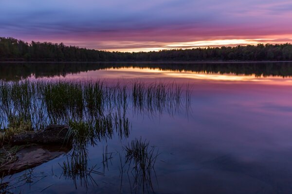 Verspiegelte Landschaft im rosa Sonnenuntergang. Aus dem Wasser ist Gras zu sehen