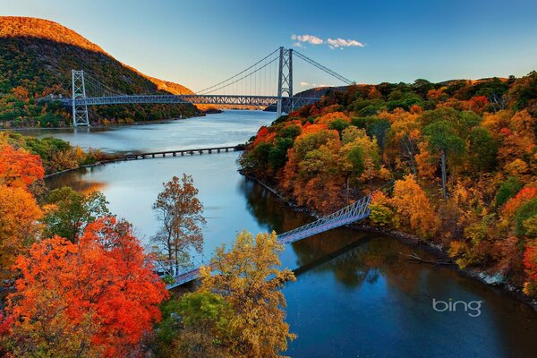 Paisaje de otoño árboles puente río
