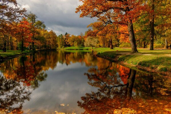 Automne coloré dans le parc près de l étang