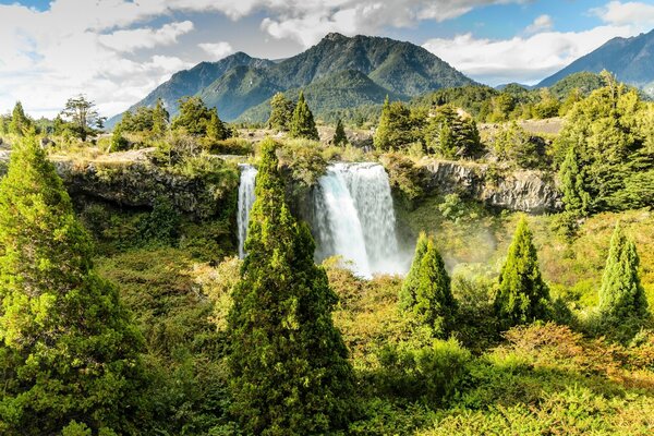 Grüne Weihnachtsbäume vor dem Hintergrund eines Wasserfalls und der Berge