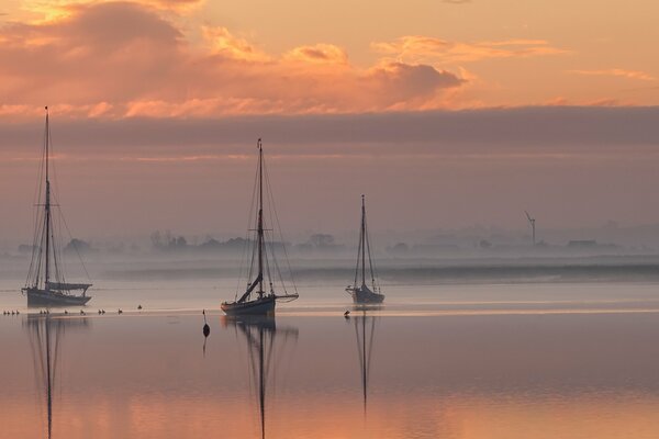 Evening sunset in the harbor