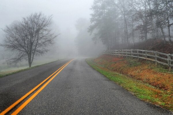 El camino conduce a la niebla, el paisaje