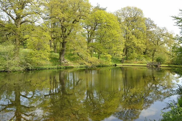 A park with green trees, a river and a bridge