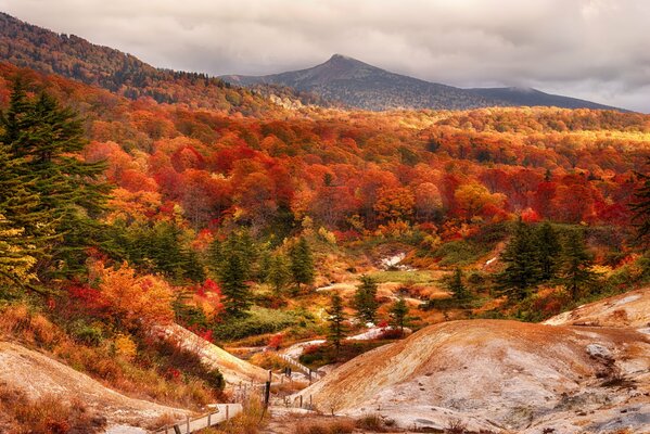 Bosque de otoño del Monte shirakami