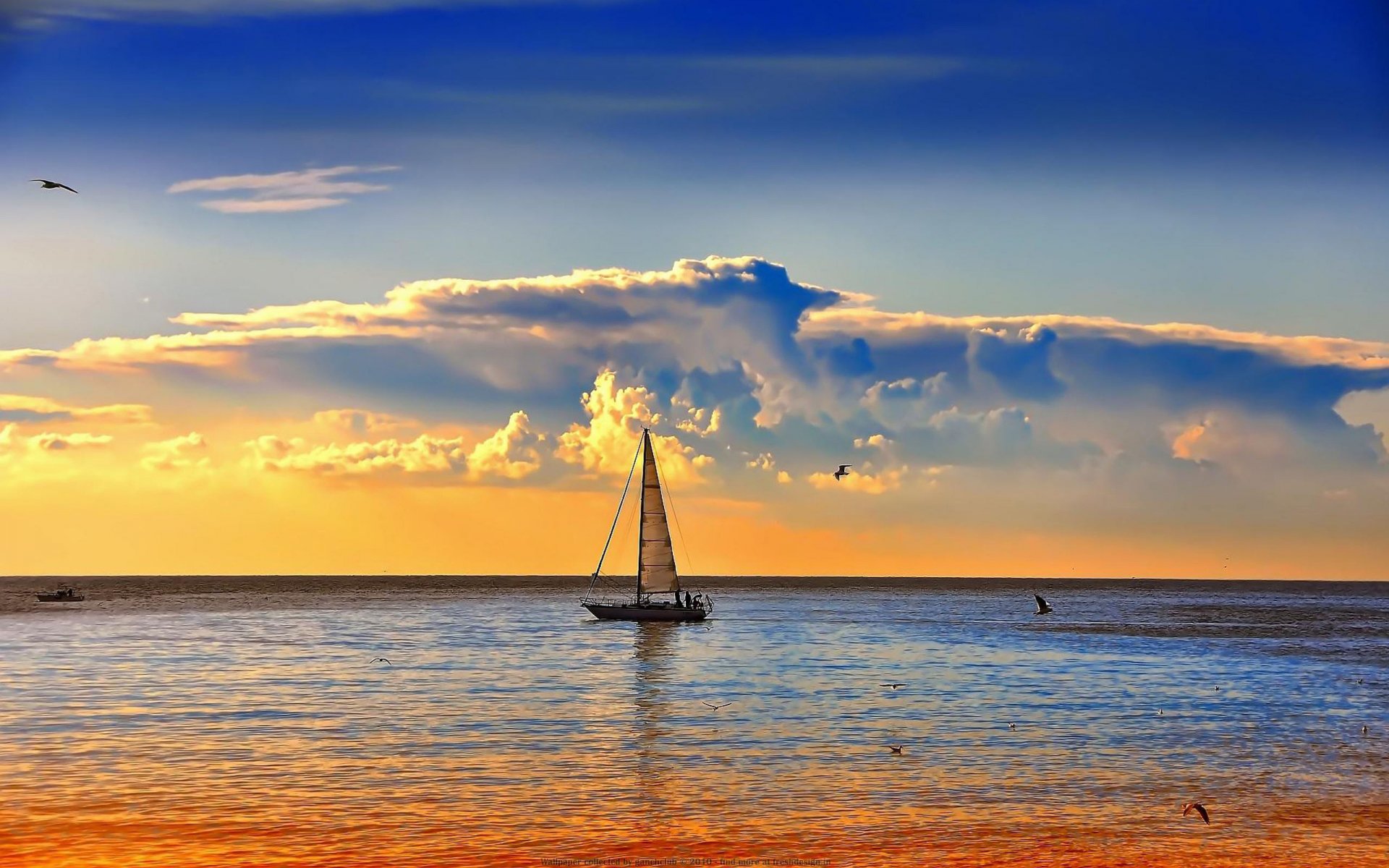 yacht mât voile horizon ciel nuages oiseaux mer océan aube