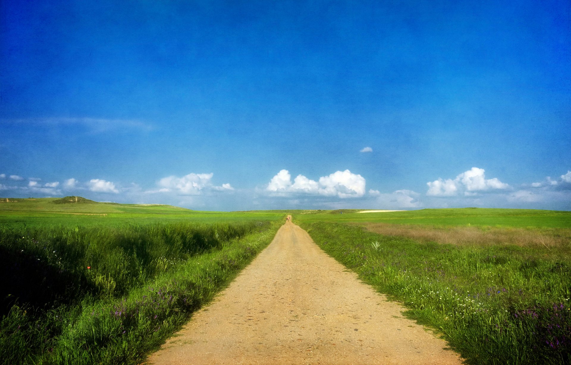 route herbe été ensoleillé ciel nuages