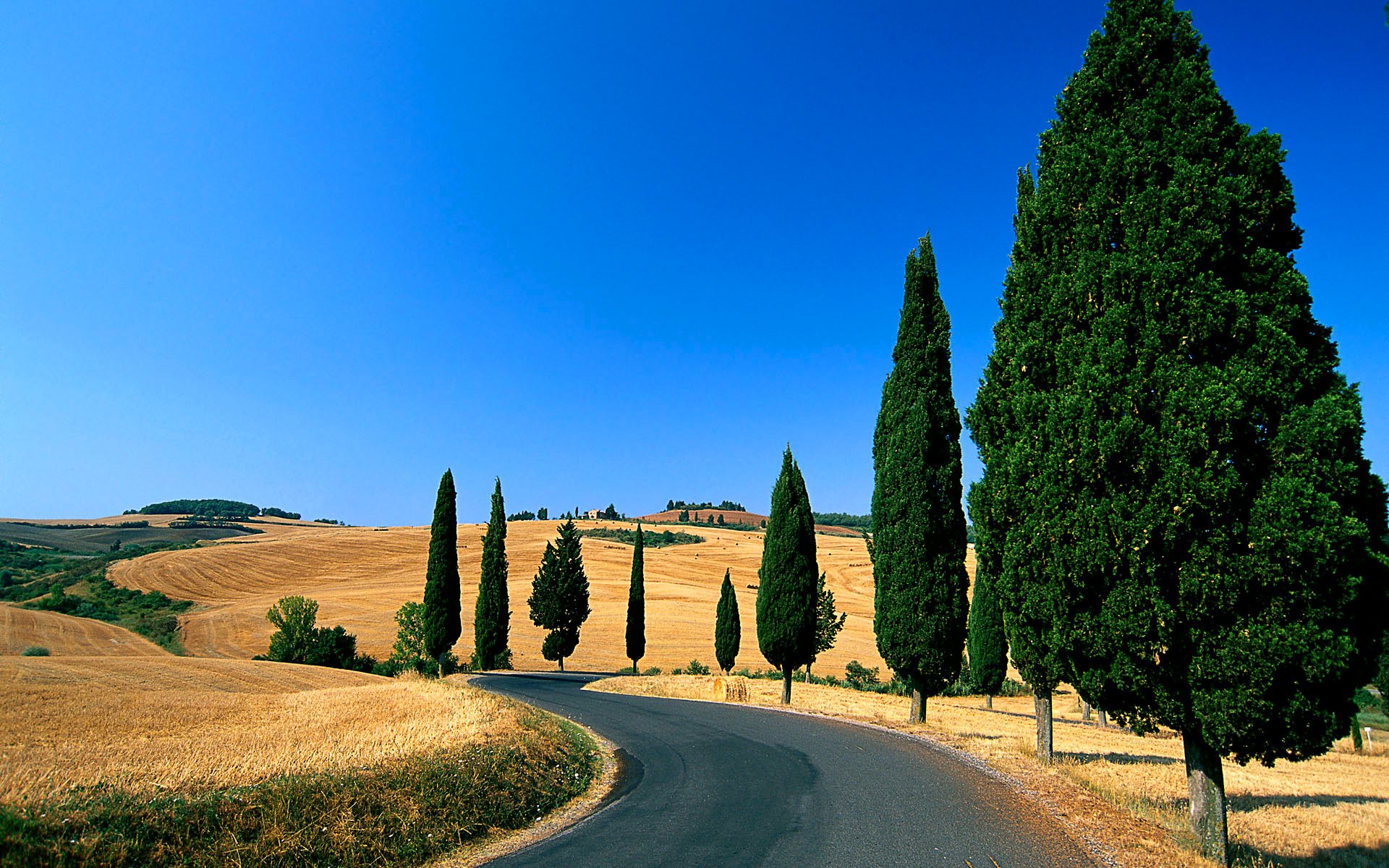 toscana italia cielo colinas camino campos árboles