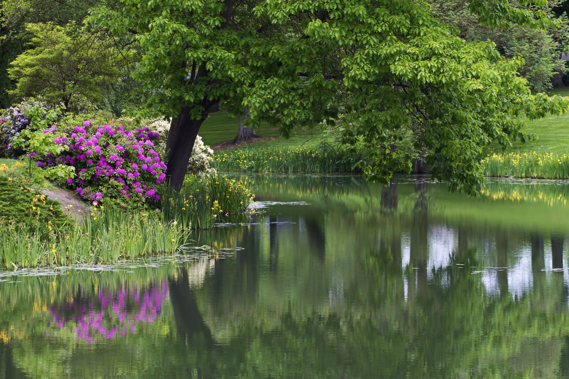 parc arbre fleurs