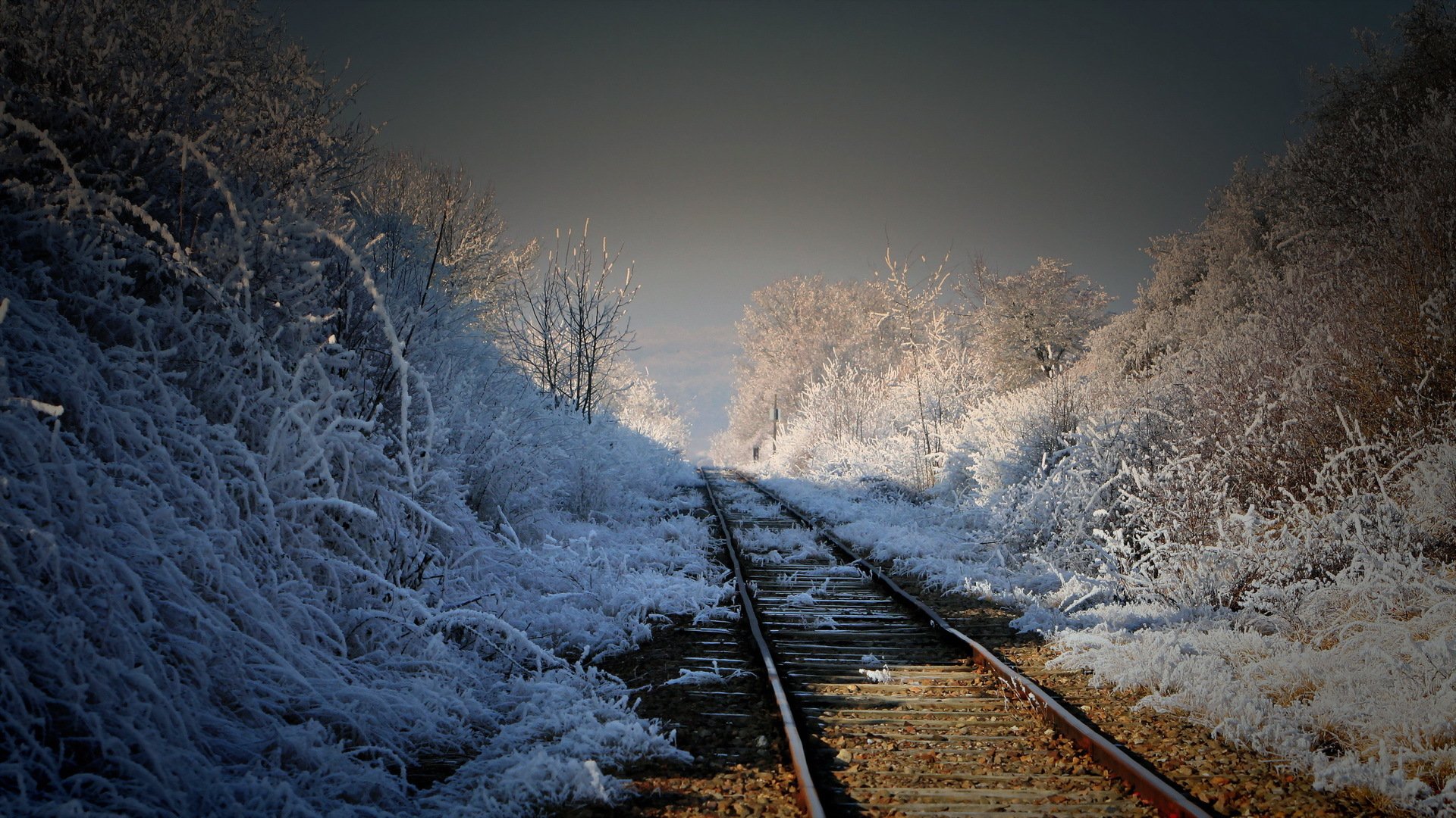 eisenbahn morgen natur landschaft