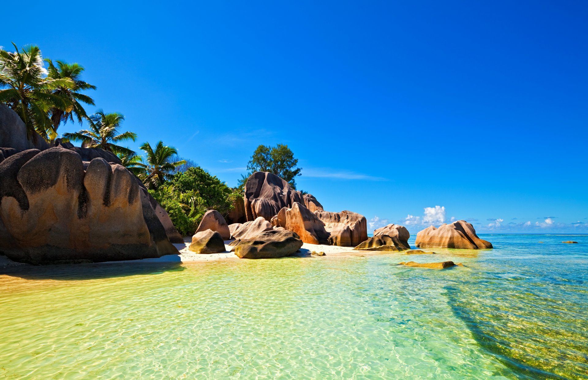 tropen seychellen himmel meer ozean insel palme steine