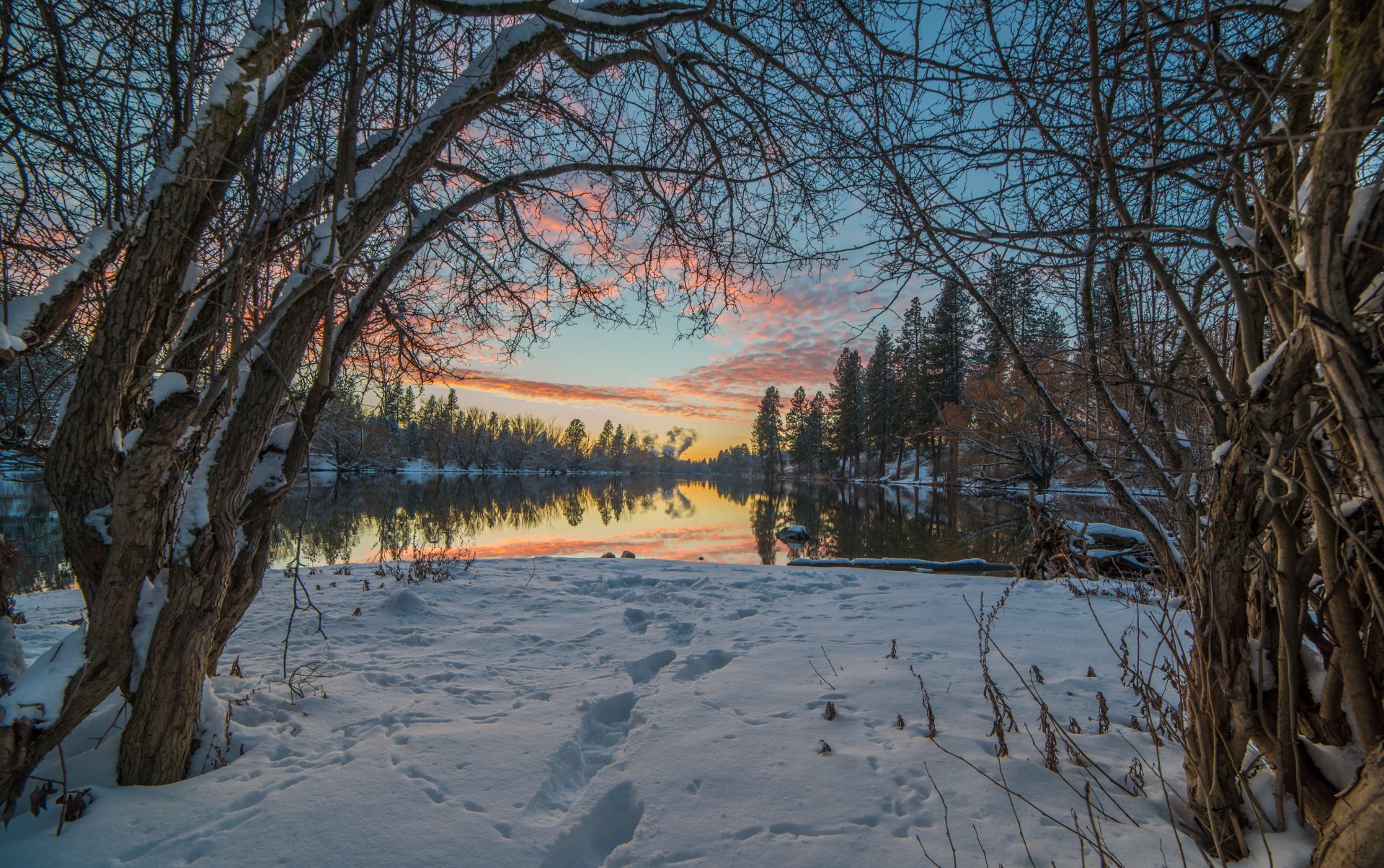 paisaje naturaleza nieve invierno huellas árboles ramas cielo