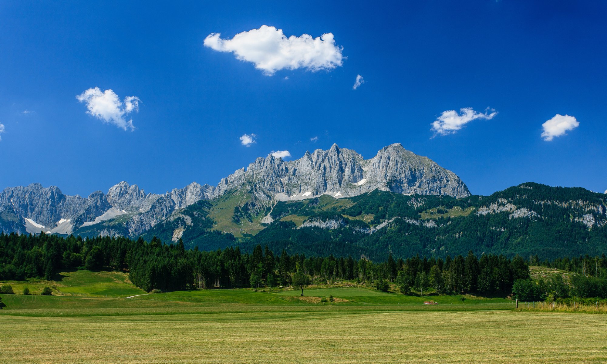 wilder kaiser österreich alpen wilder kaiser berge wiese wald