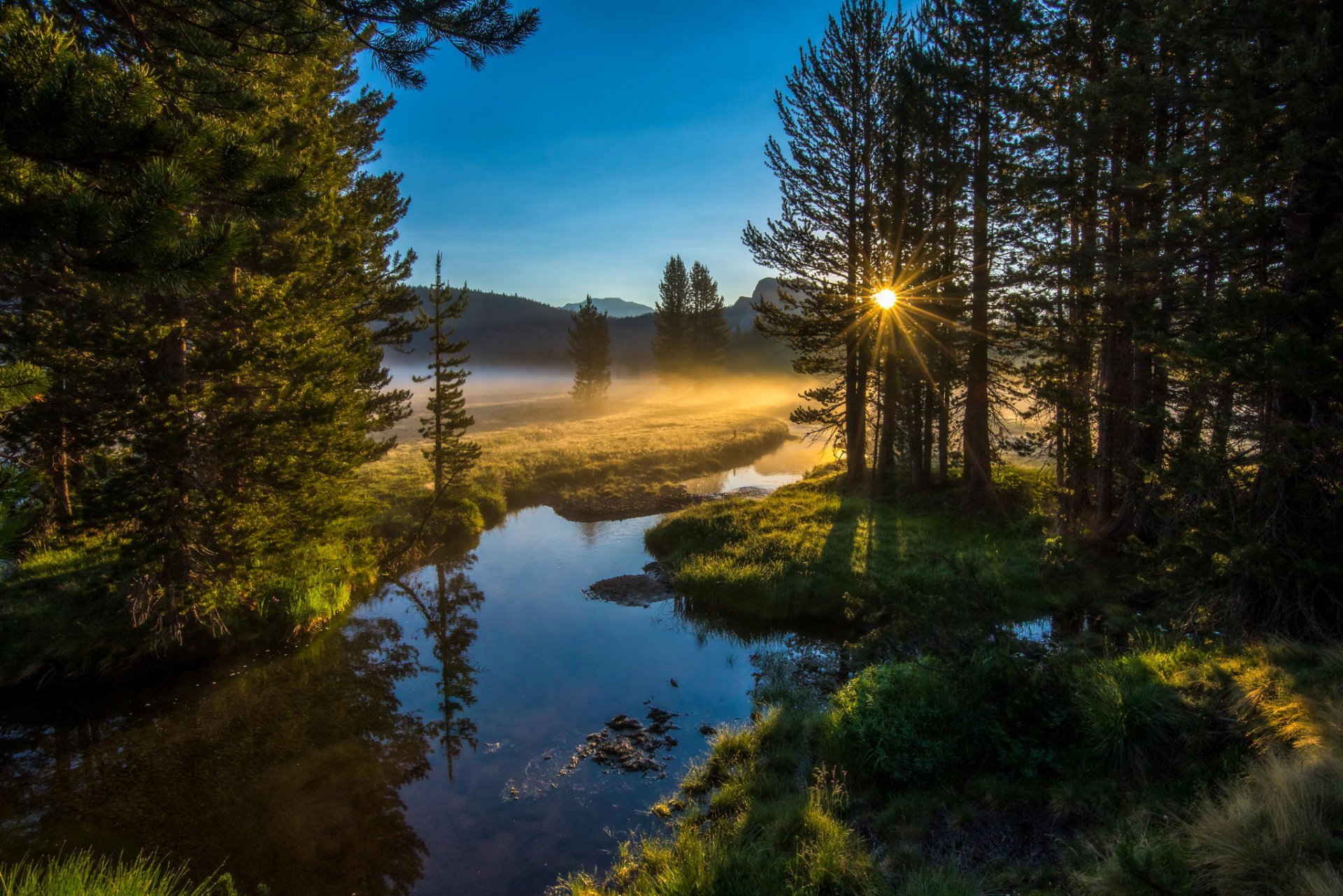 mattina fiume sole foresta natura