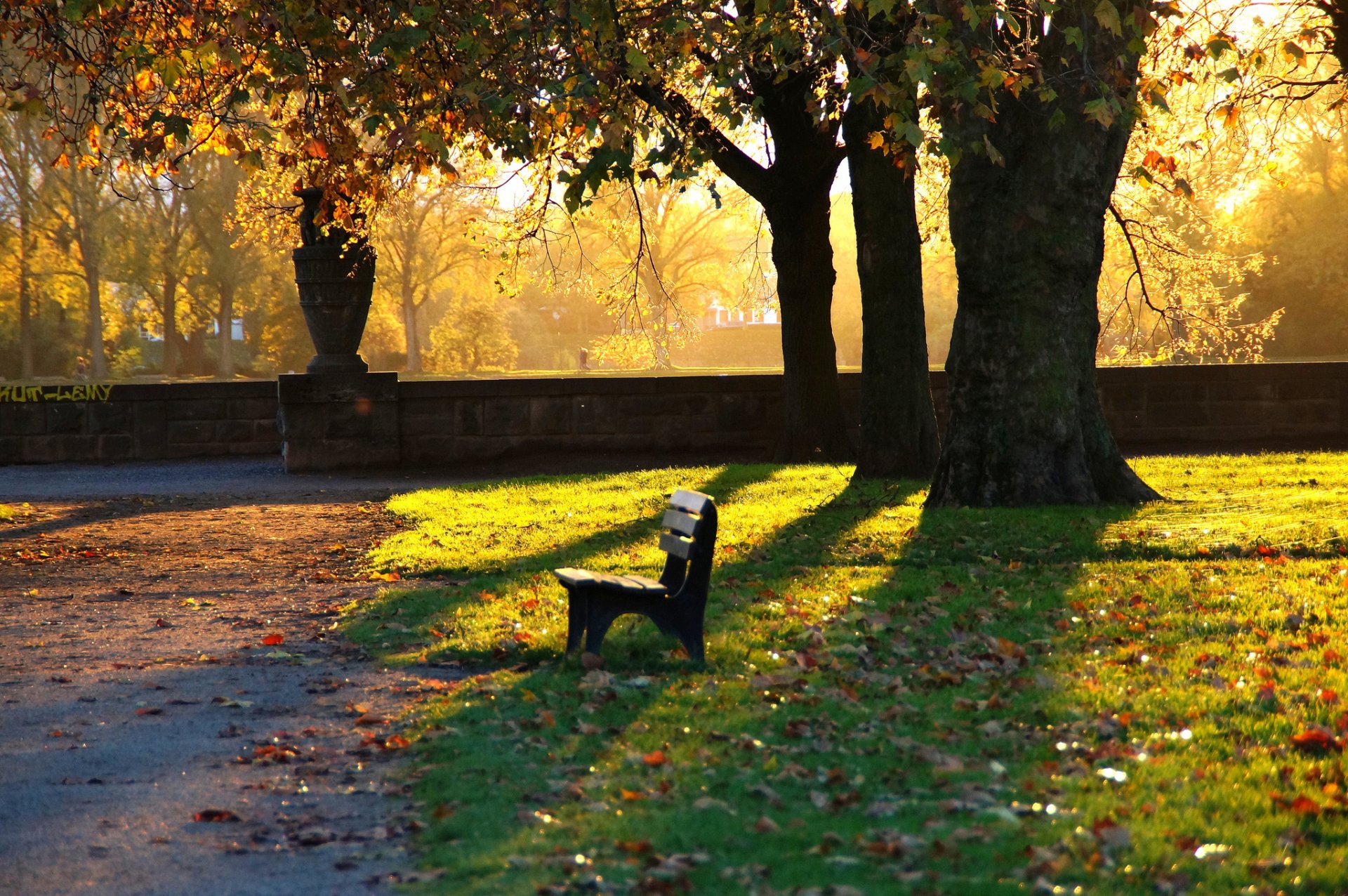 parc banc automne soirée