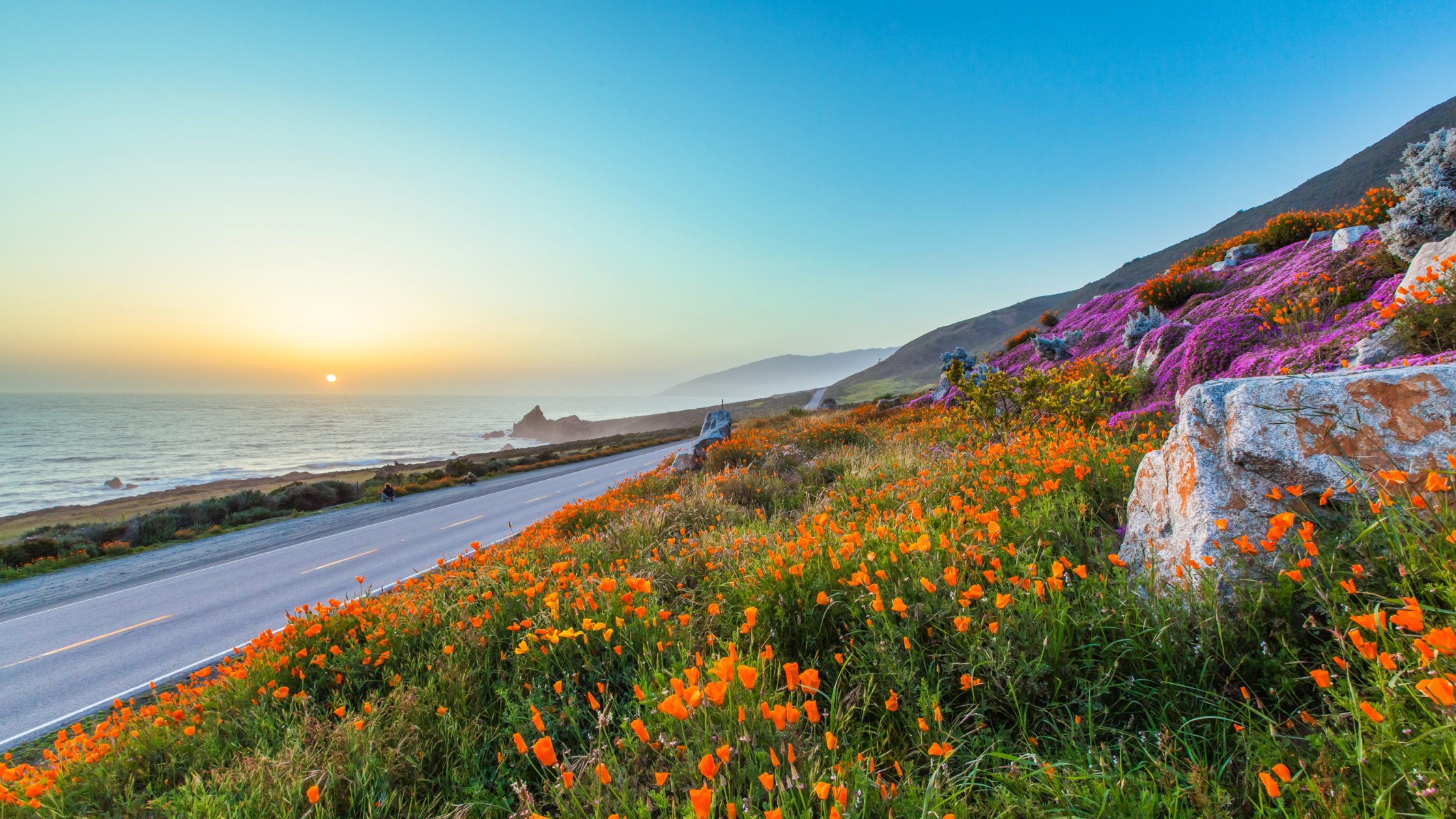 ky night sunset road flower poppies stones sea sun mountain