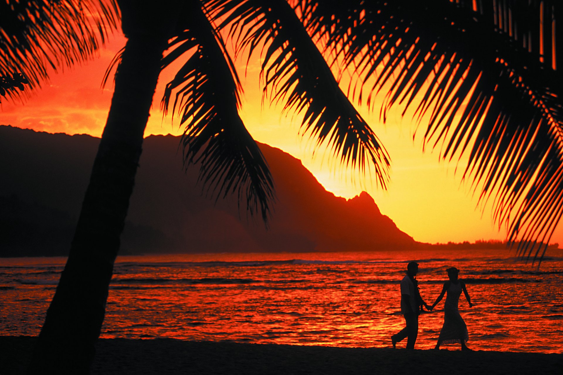 soir coucher de soleil palmiers océan romance deux