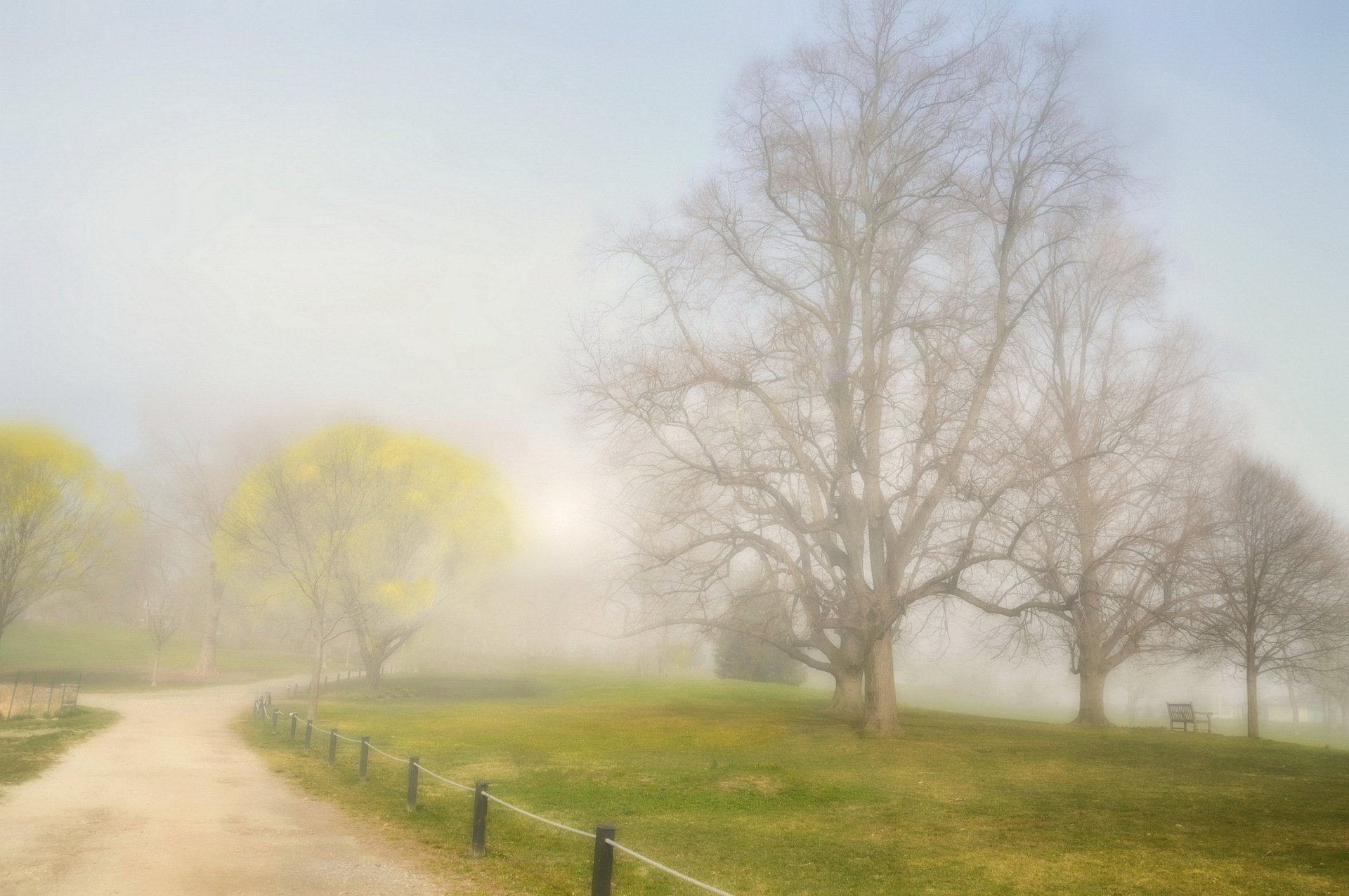 parc route brouillard paysage