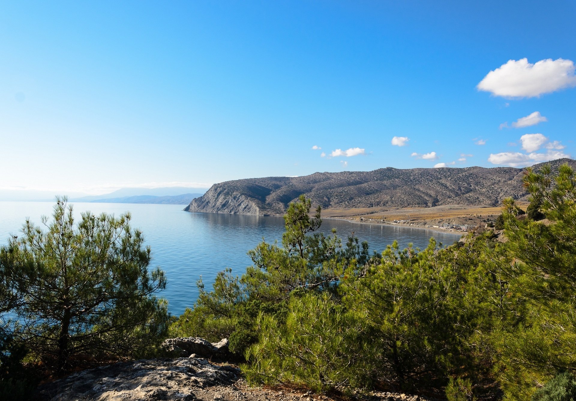 paysage pins côte crimée