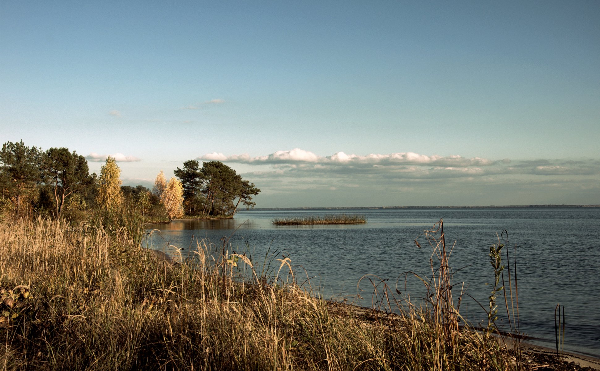 autumn tree lake clouds sky