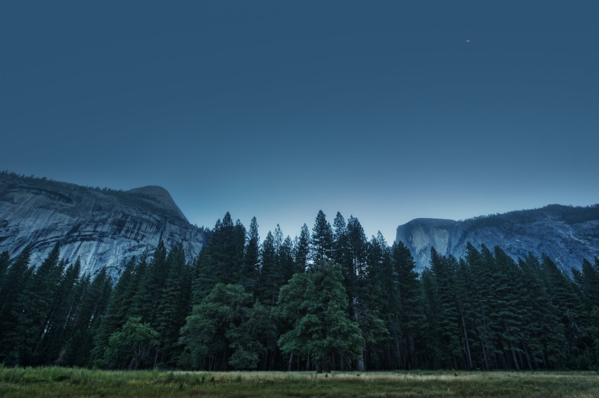 foresta californie états-unis yosemite californie vallée de yosemite parc national