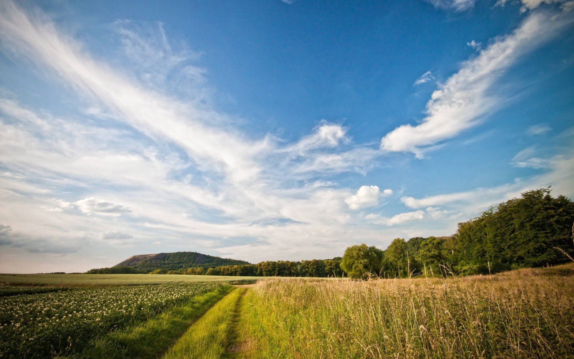 paysage champ route été horizon nuages landcsape