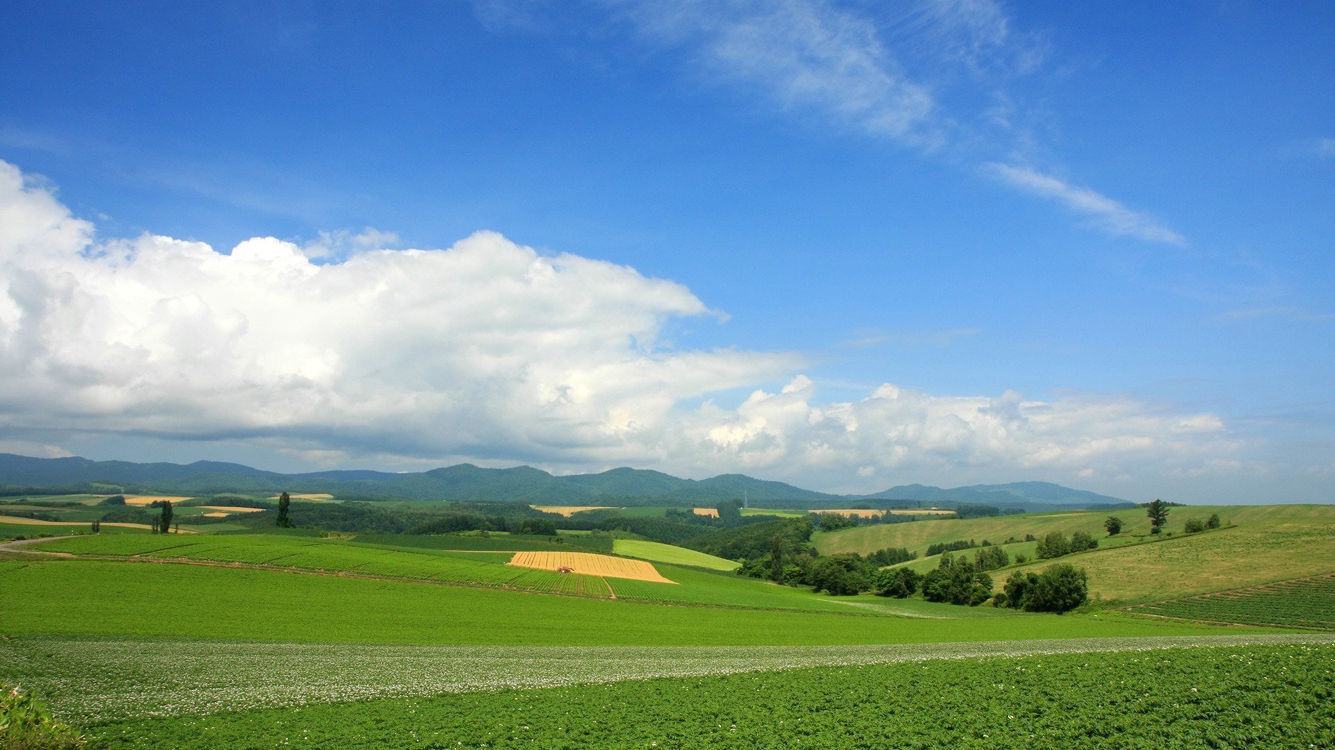 landschaft sommer grün wolken horizont natur