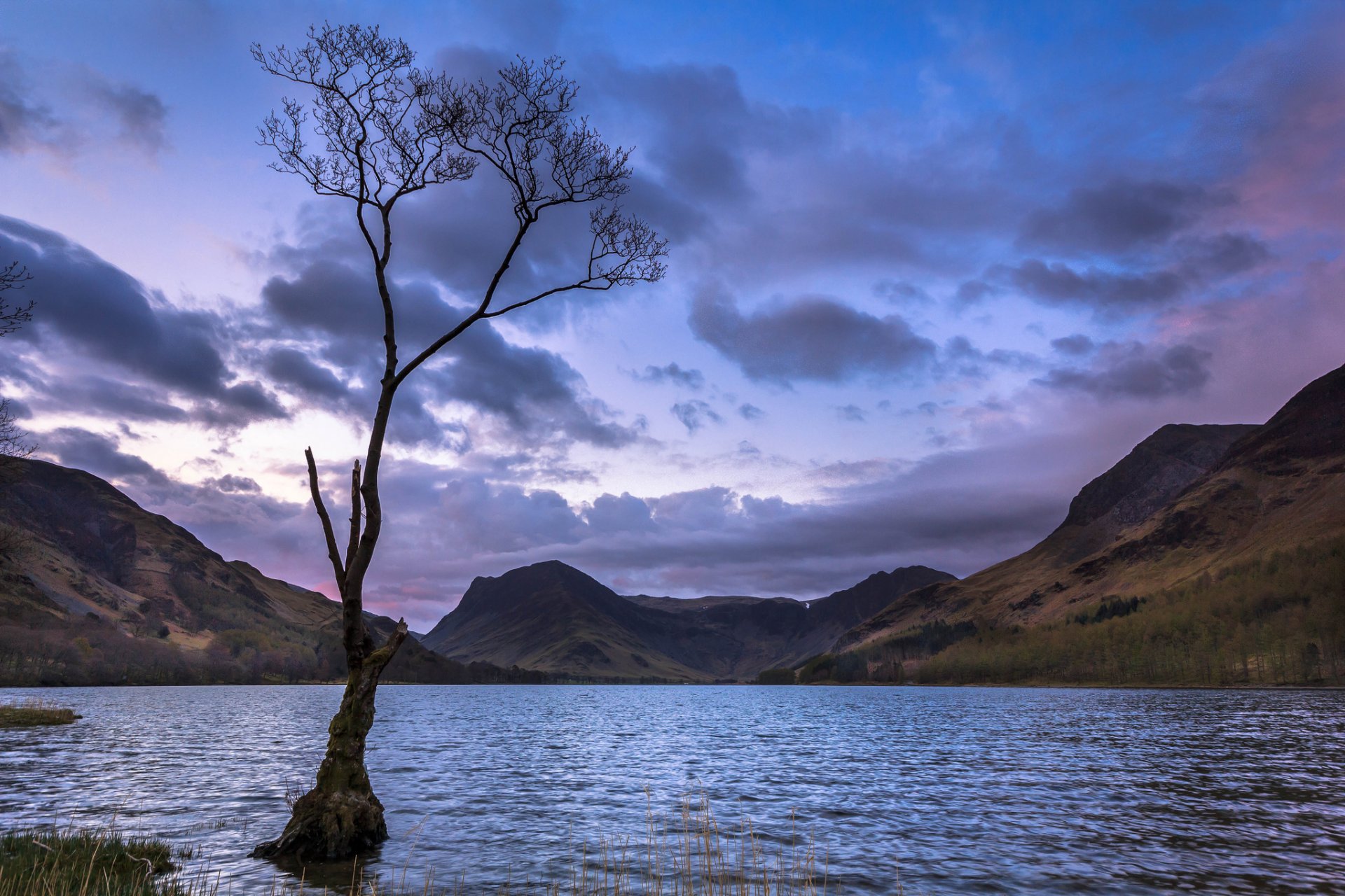 mountain lake tree sunset