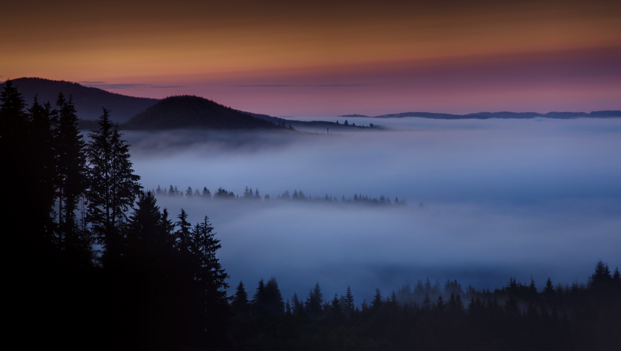 morning dawn mountain forest fog haze