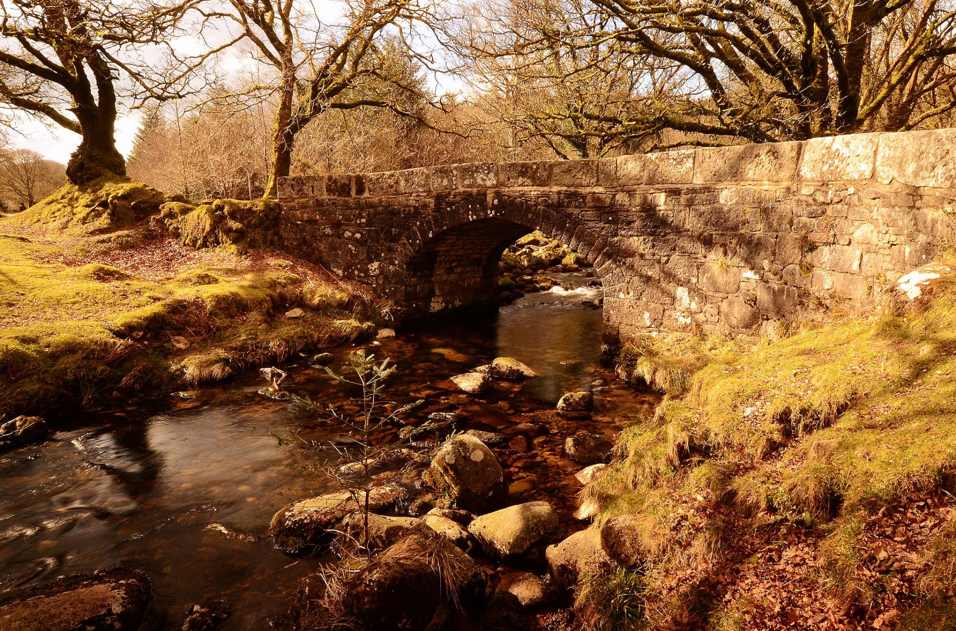 herbst park fluss brücke