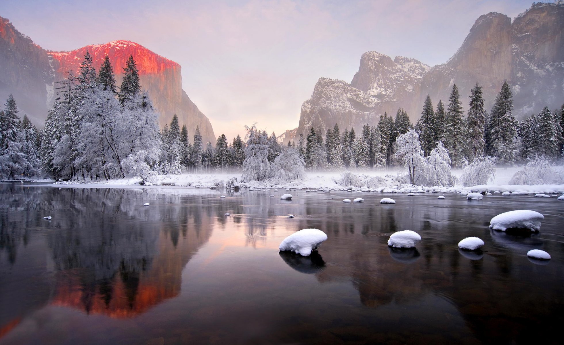 mountain forest reflection