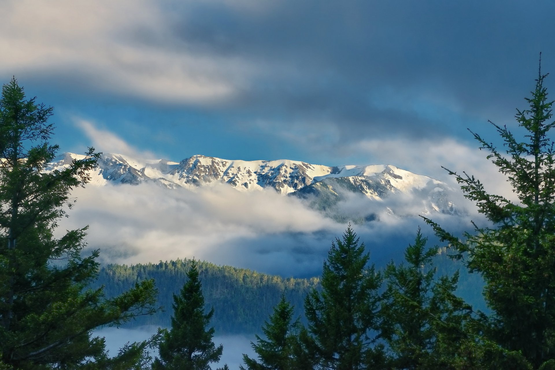 hurricane ridge góry olimpijskie olimpijski park narodowy waszyngton olympic ridge olympic national park stan waszyngton chmury świerki góry