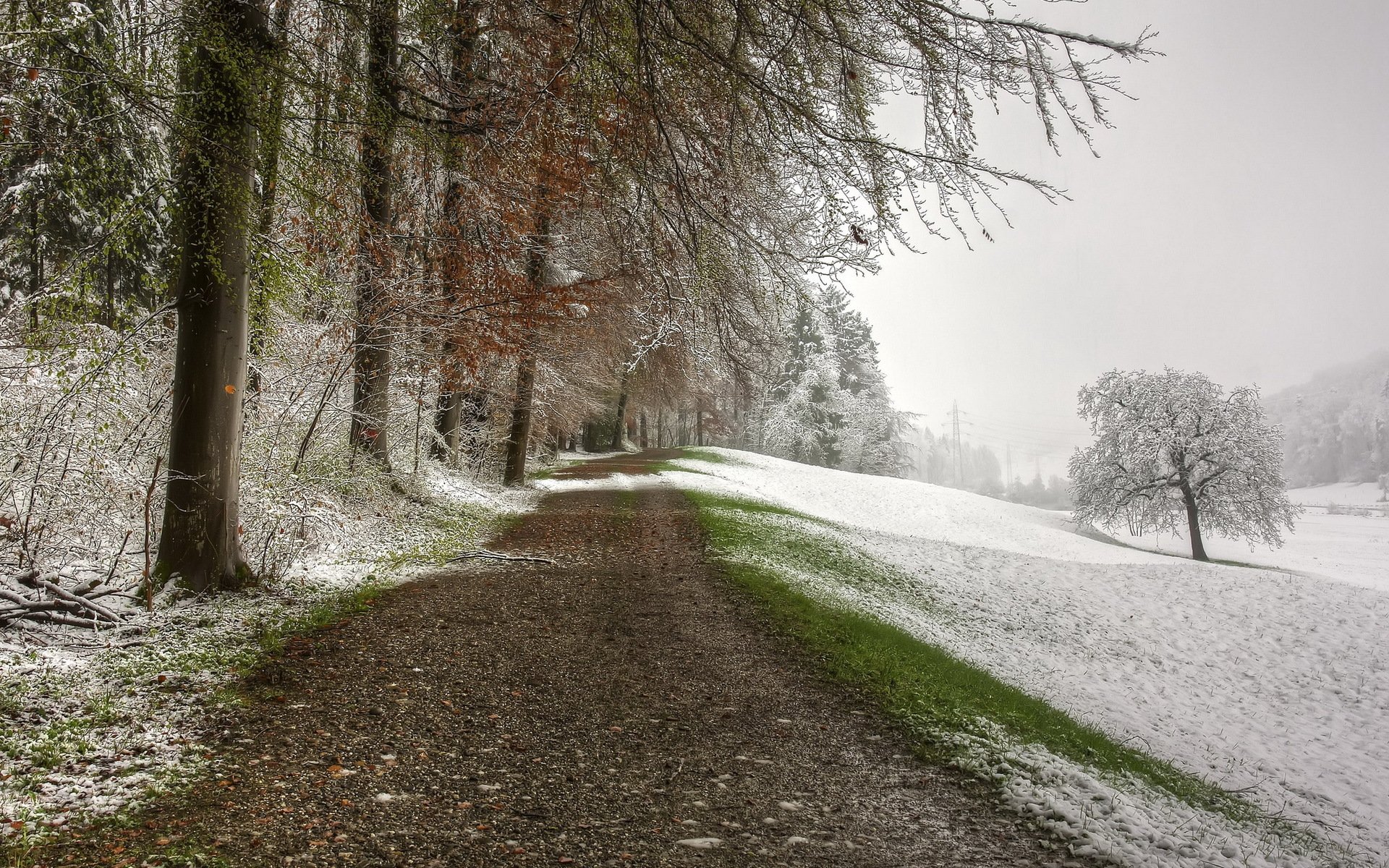 road snow nature landscape