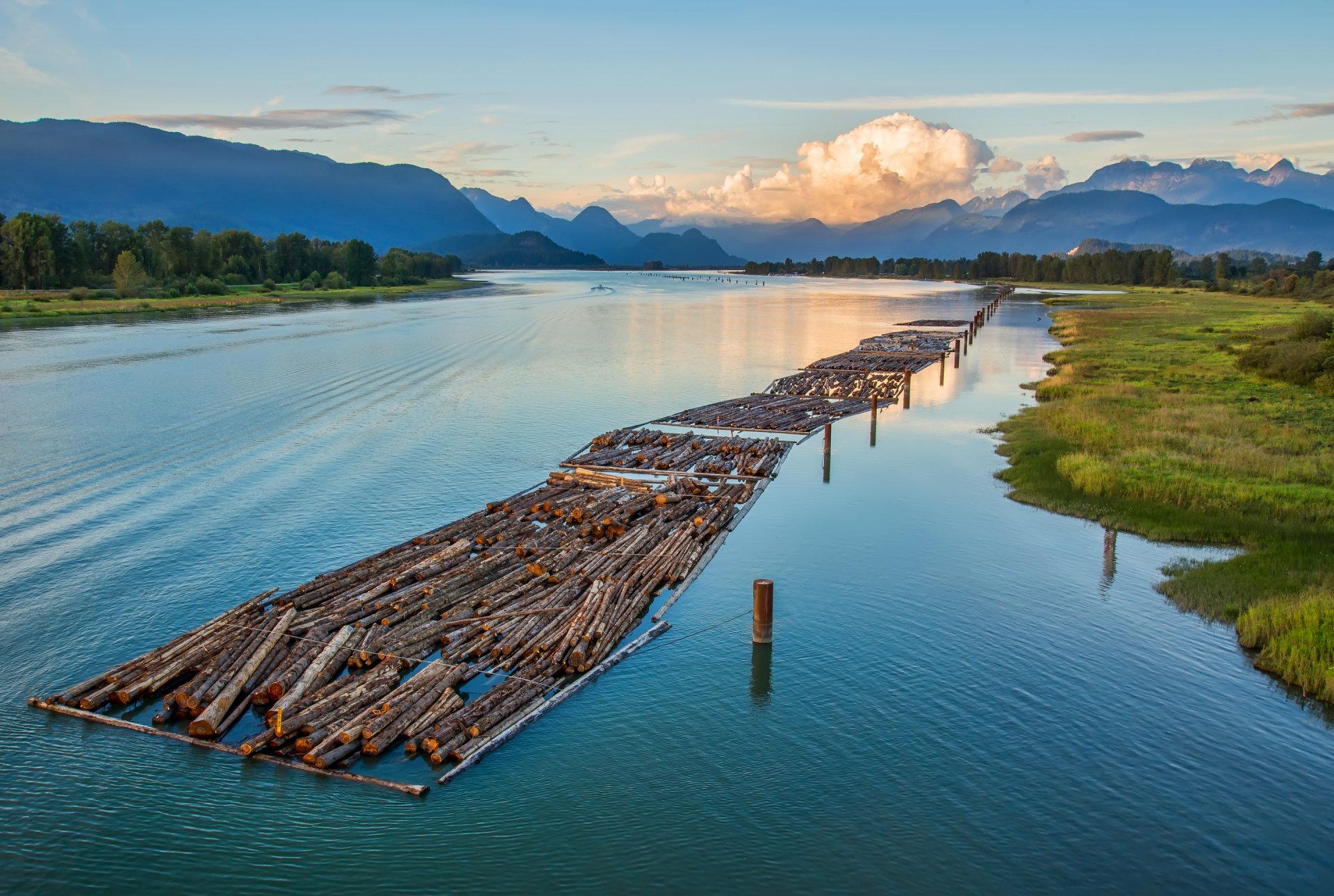 british columbia canada mountain forest tree river log alloy sky cloud