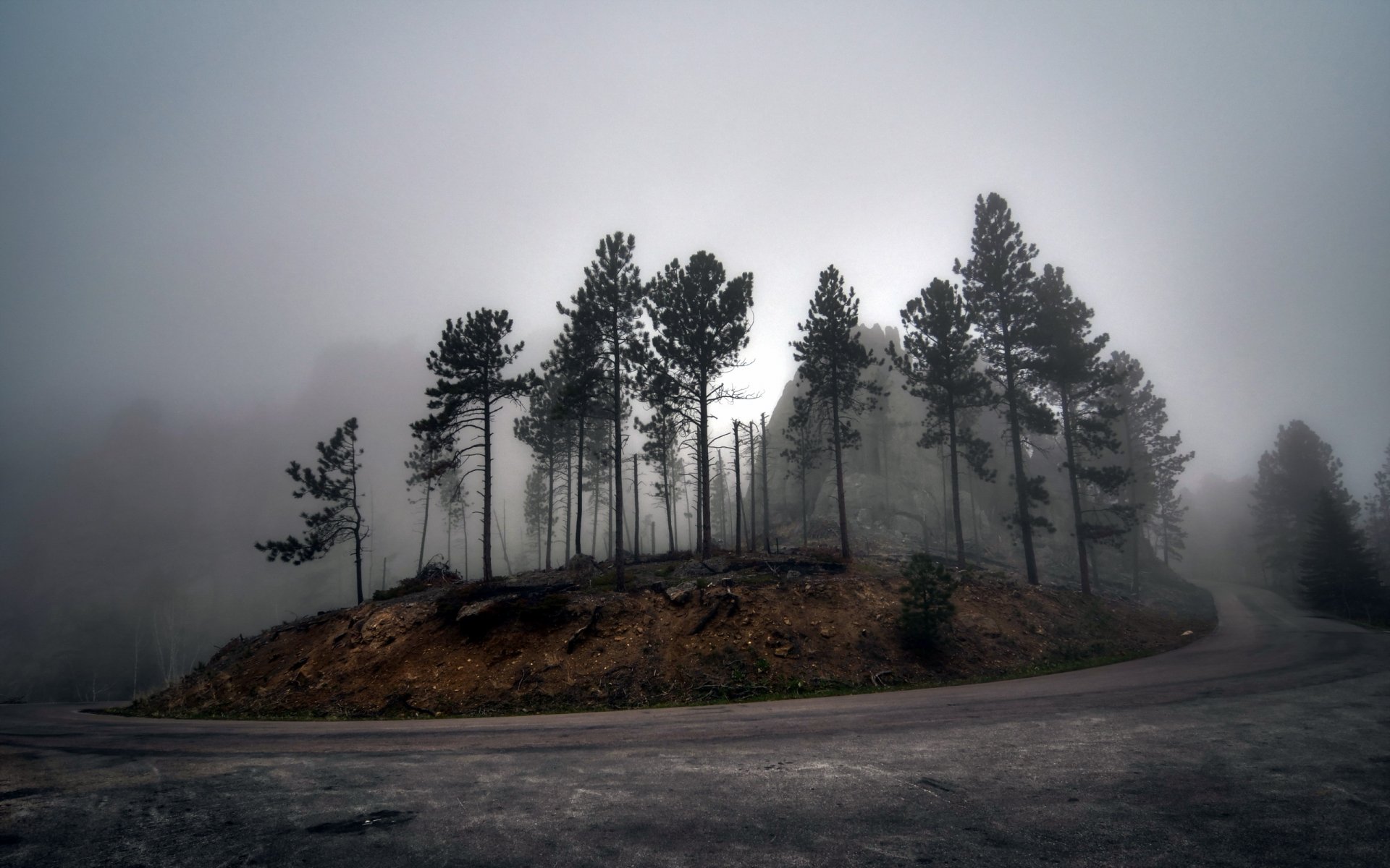 carretera árboles niebla paisaje