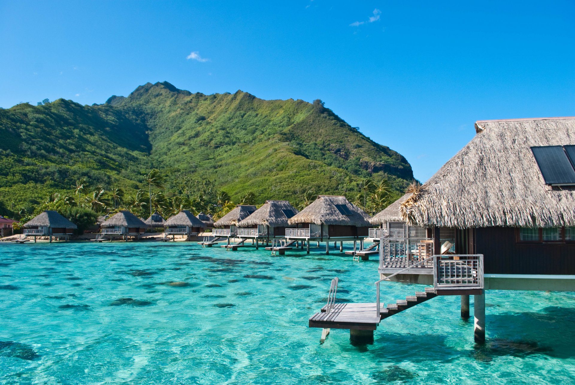 ocean bungalow hotel exotic moorea french polynesia