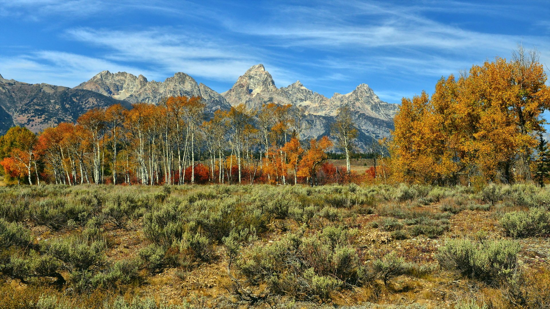 montagnes arbres automne paysage