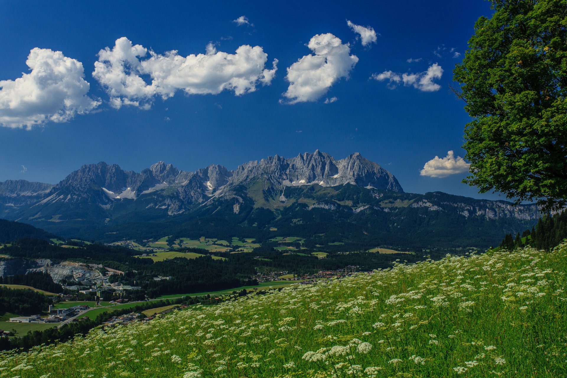 wilder kaiser österreich alpen wilder kaiser panorama baum wiese berge