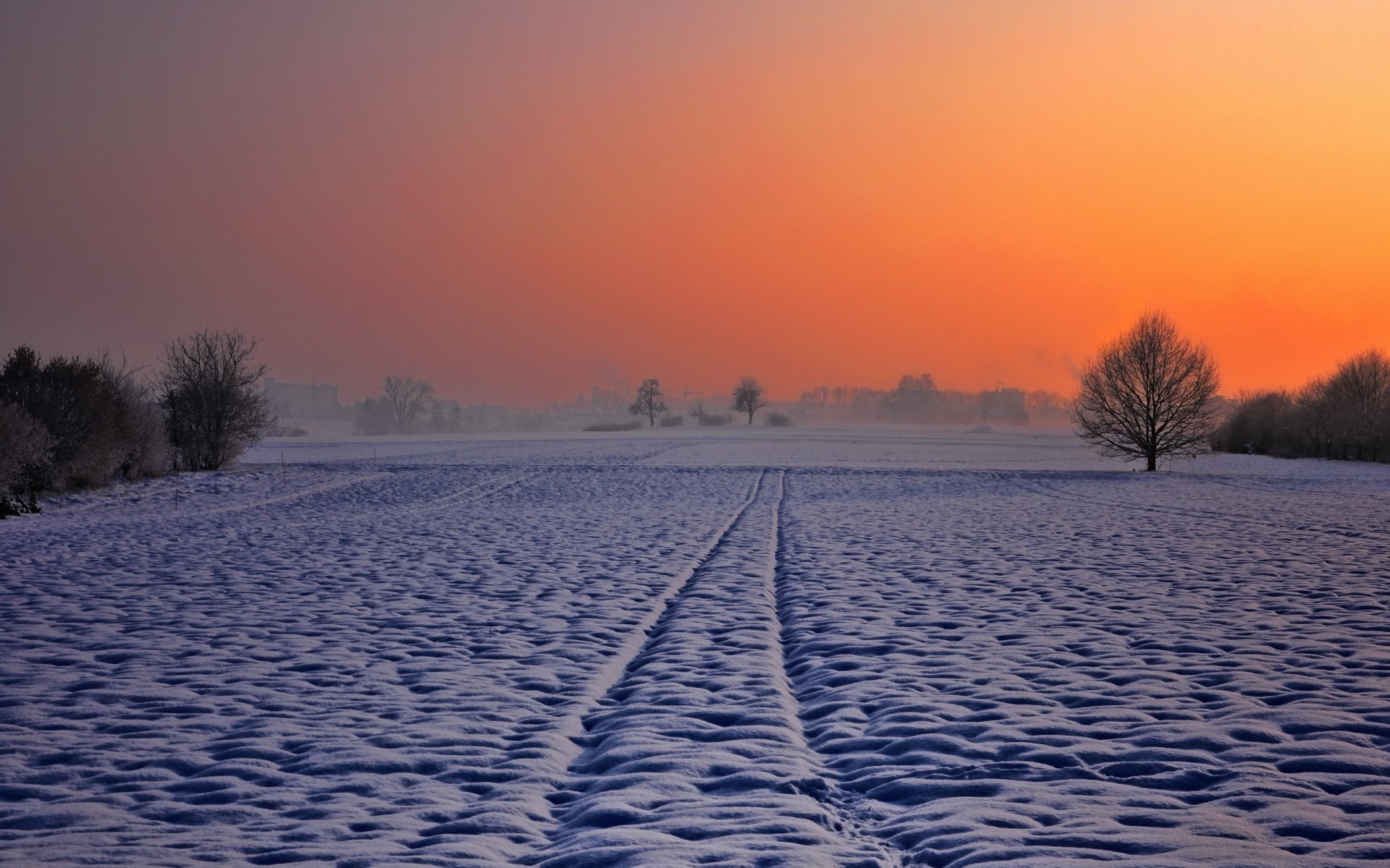 nuit champ hiver